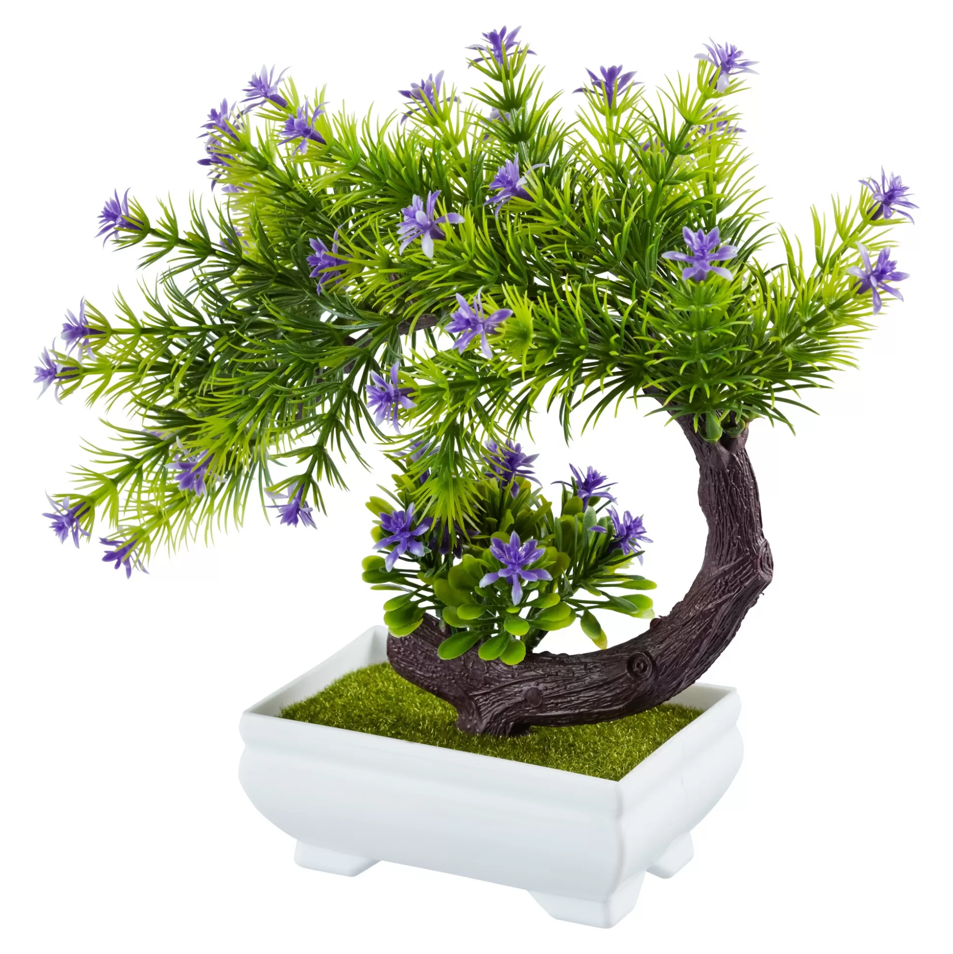 Planten & Bloemendecoratie^* Bloeiend Bonsai-Boompje