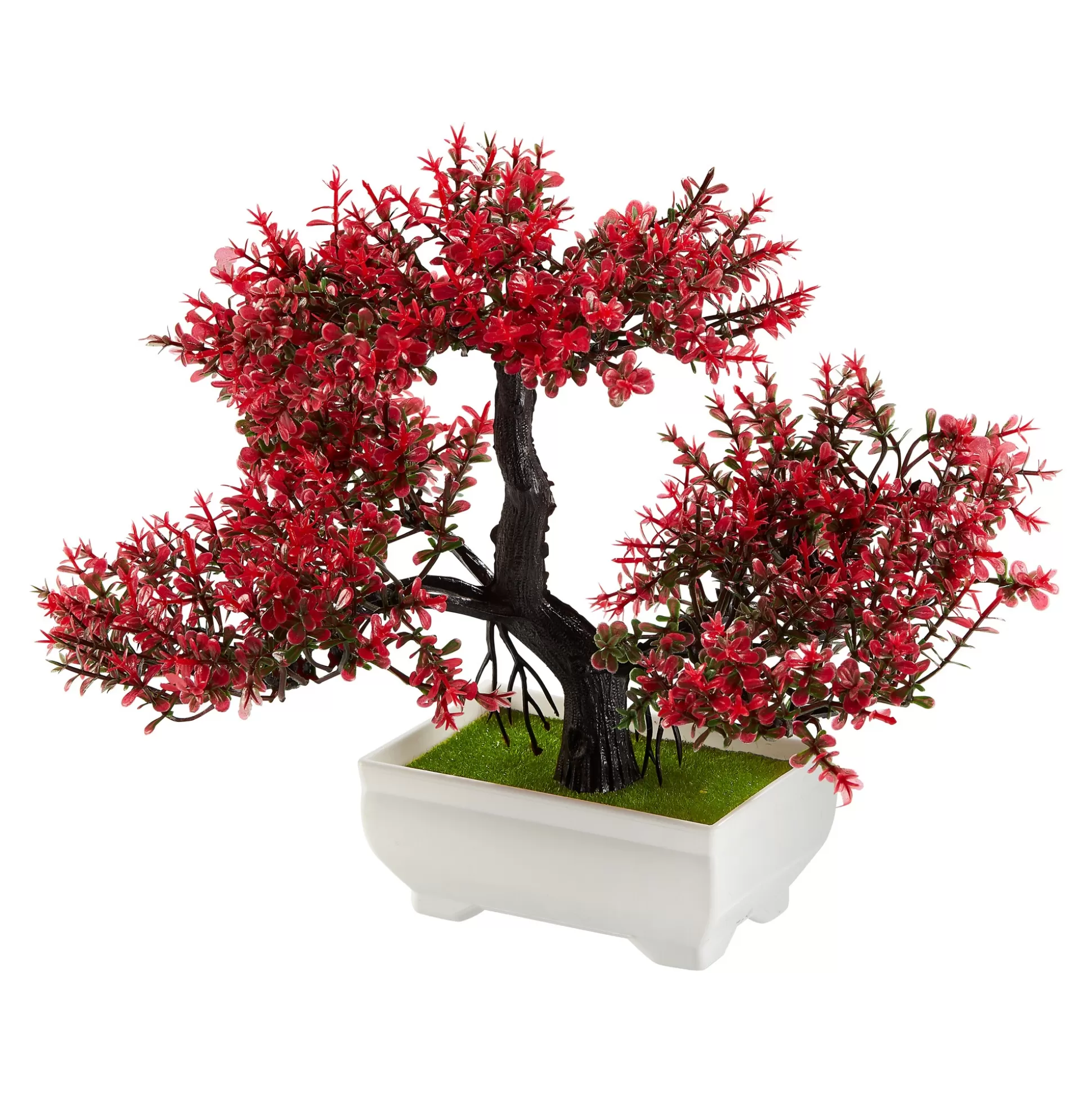 Planten & Bloemendecoratie^viva domo Bloeiende Bonsai "Donkerrood"