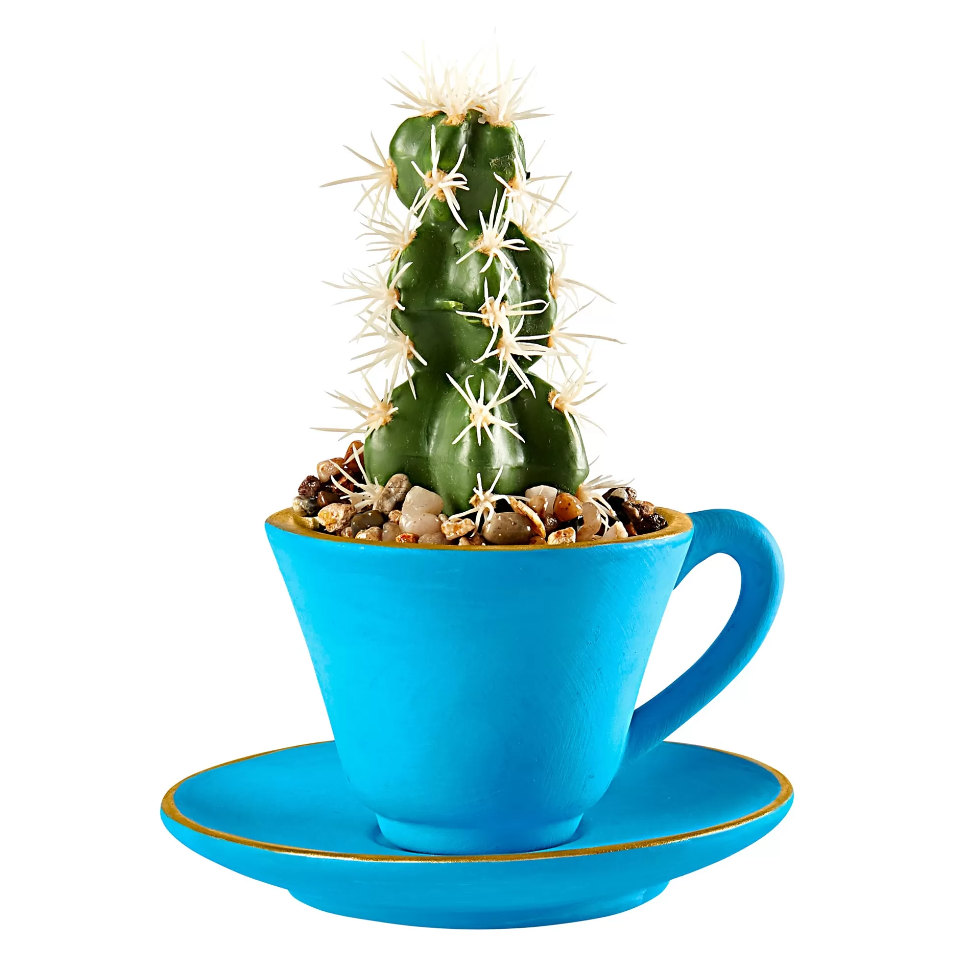 Planten & Bloemendecoratie^* Deco-Kopje "Cactus"