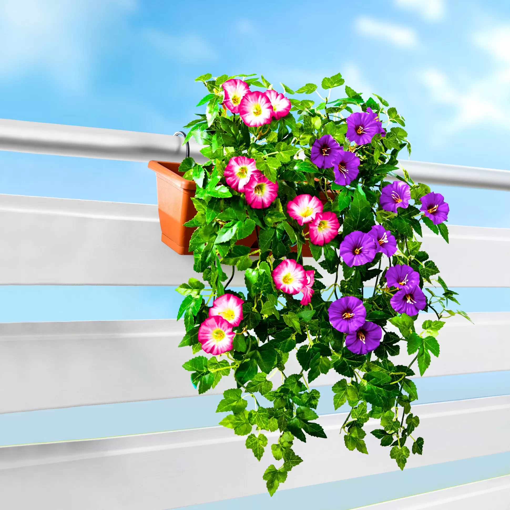 Planten & Bloemendecoratie^* Hangpetunias Paars