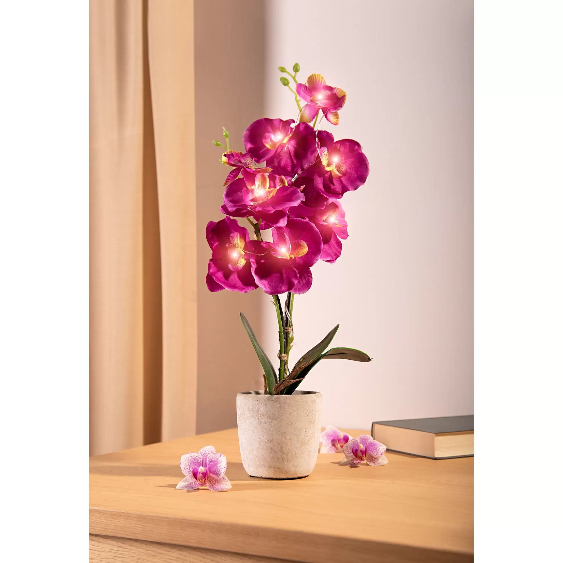 Planten & Bloemendecoratie^* Led-Orchidee