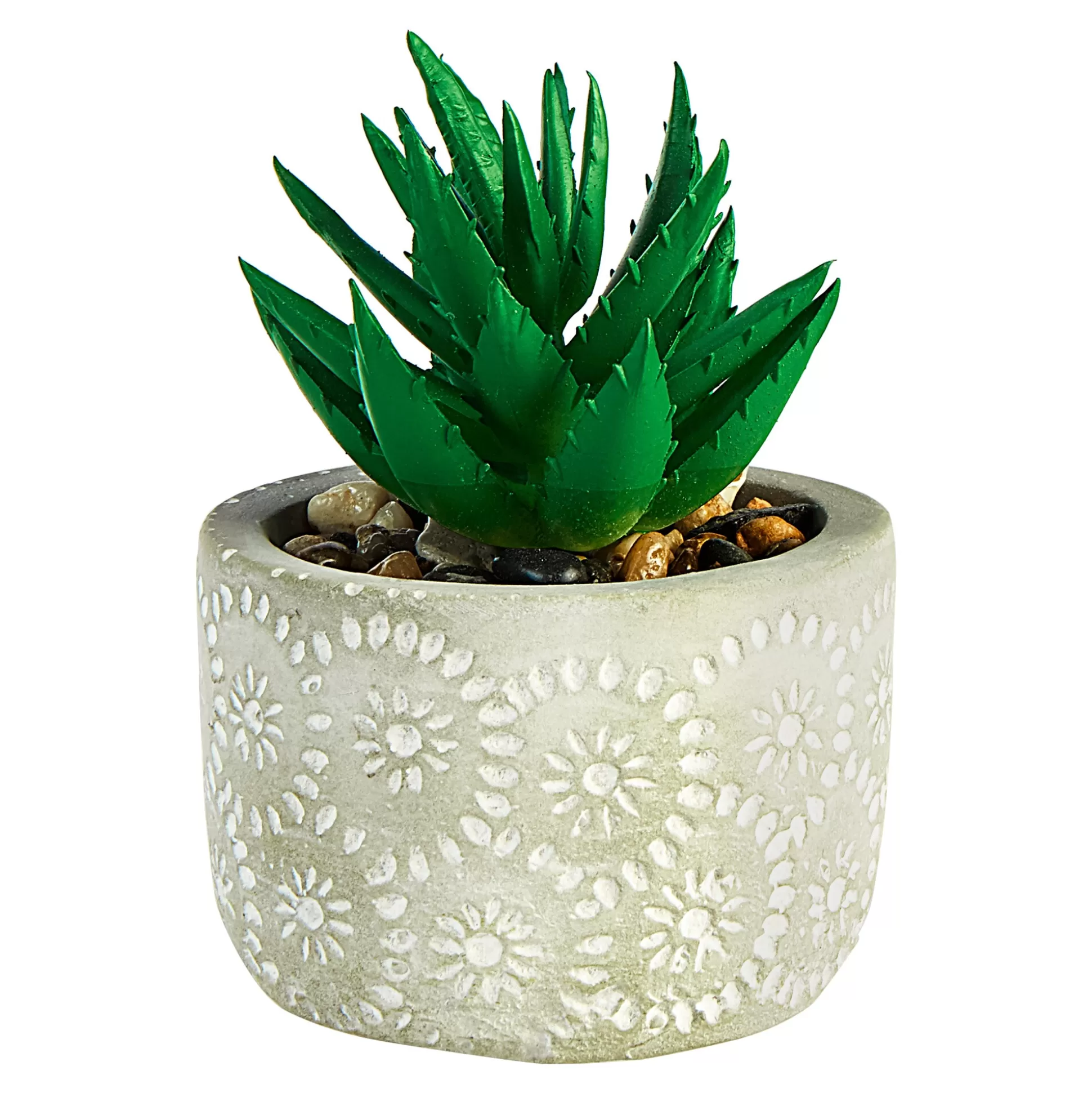 Planten & Bloemendecoratie^* Mini-Cactus