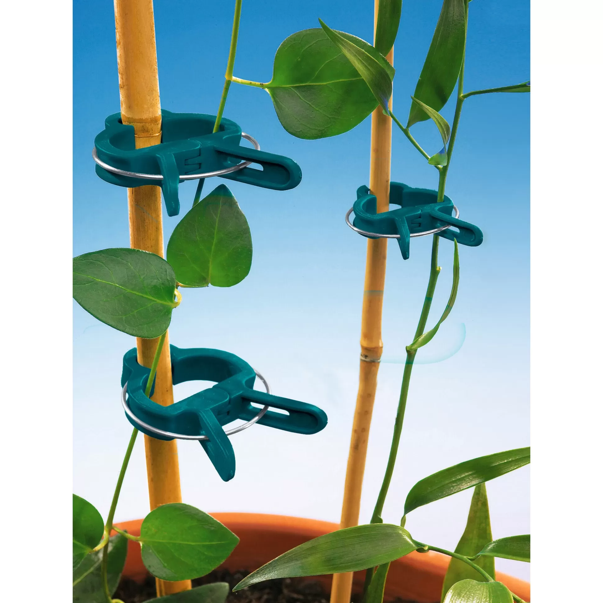 Plantaccessoires^* Plantenclips, 20 Stuks