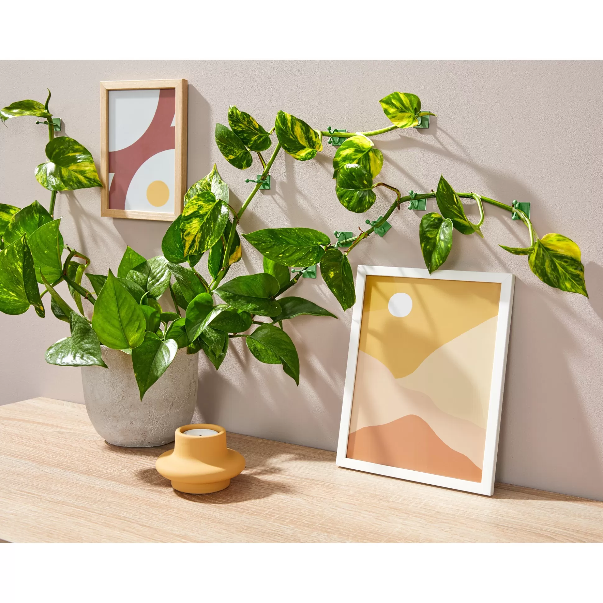 Plantaccessoires^TRI Plantenrankhulpjes, 50 Stuks