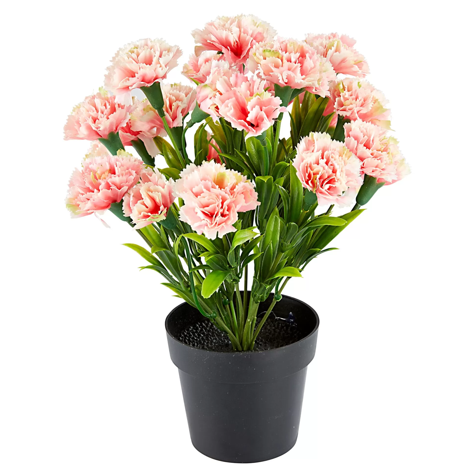 Planten & Bloemendecoratie^* Sieranjer Roze