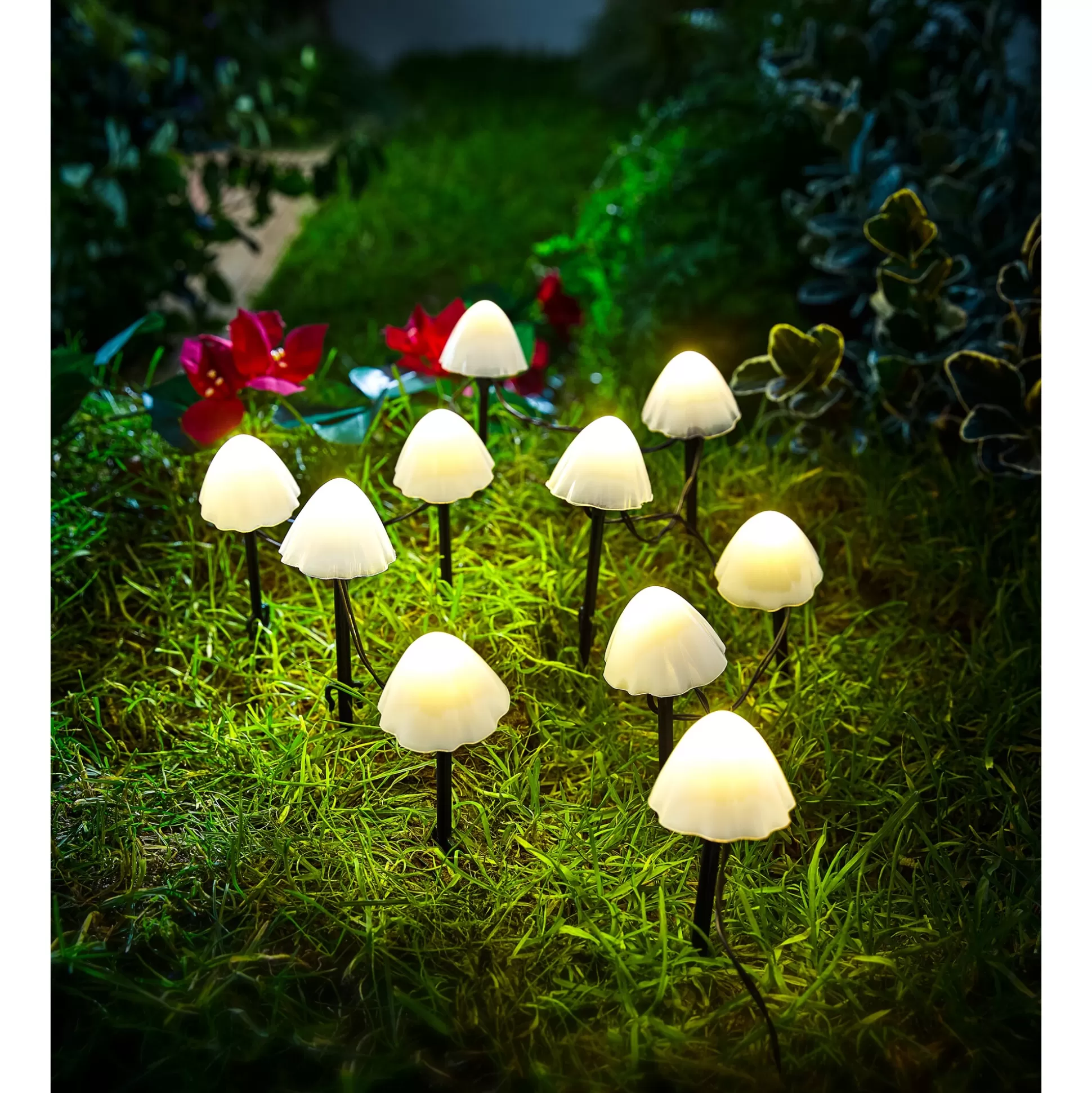 Tuindecoratie^viva domo Solar Led-Paddenstoelen, 10 Stuks