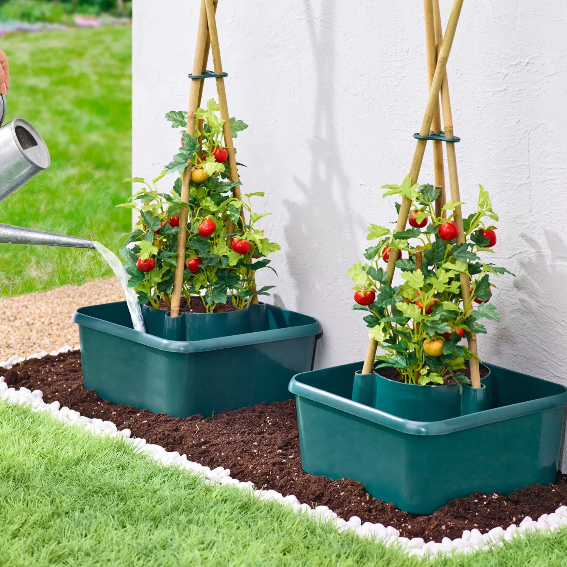 Plantaccessoires^* Tomaten-Kweekhulpje