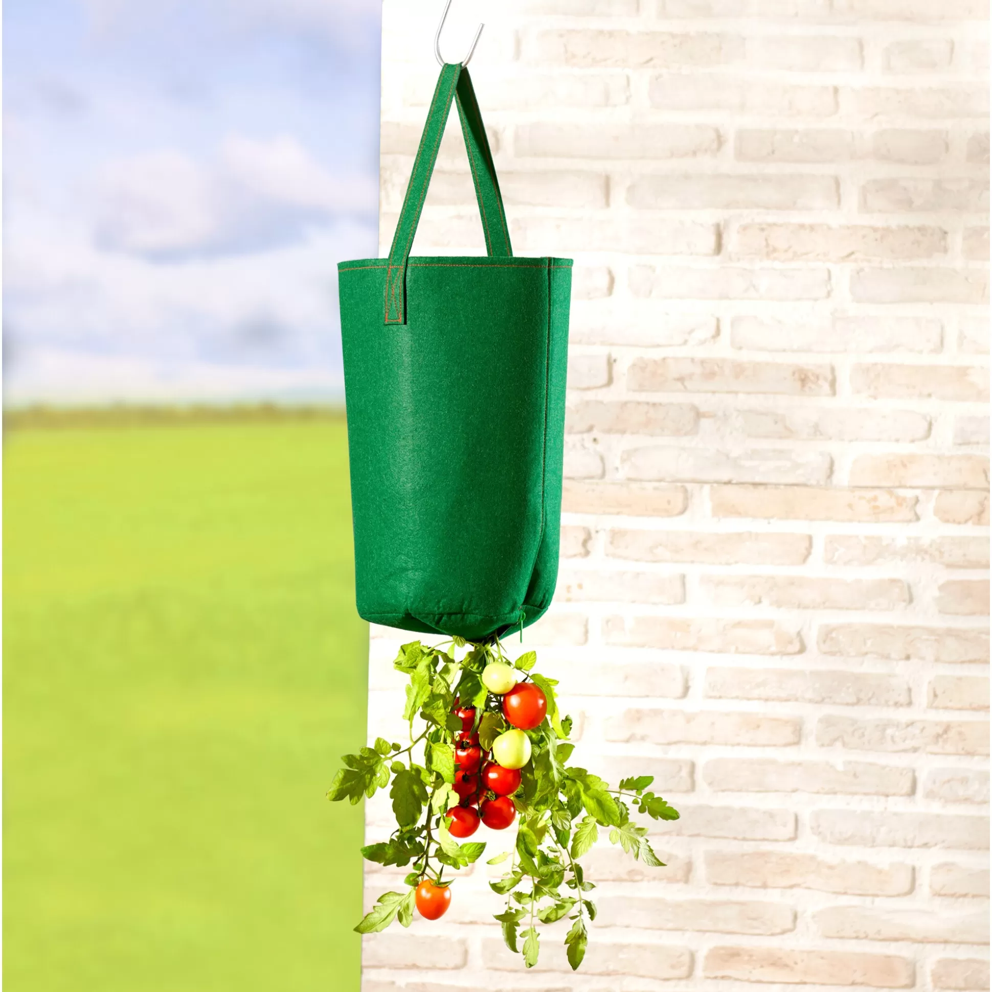 Plantaccessoires^genialo Tomatenkweekzak, 2 Stuks